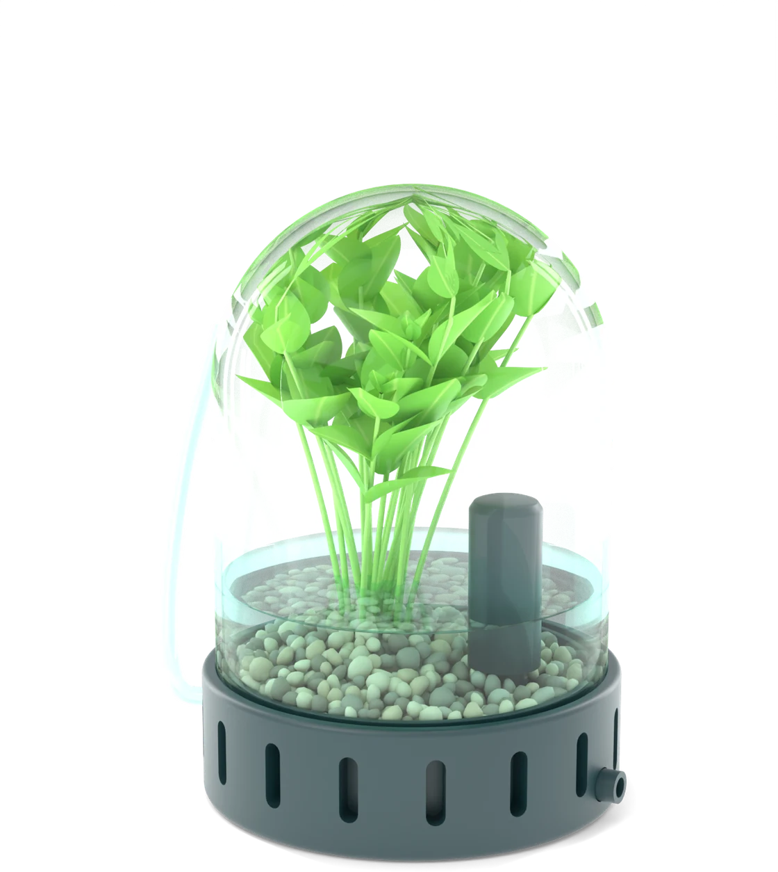 The Bubble Grande